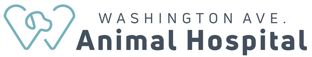 Washington Ave Animal Hospital Logo